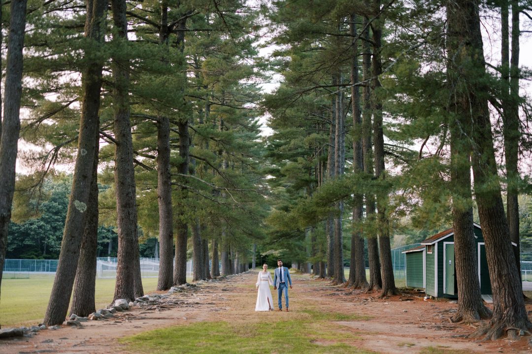Avenue of the Pines